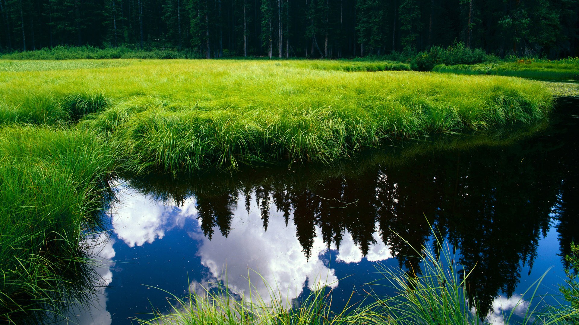 霍勒迪的单车快攻与凌晨四点的五棵松