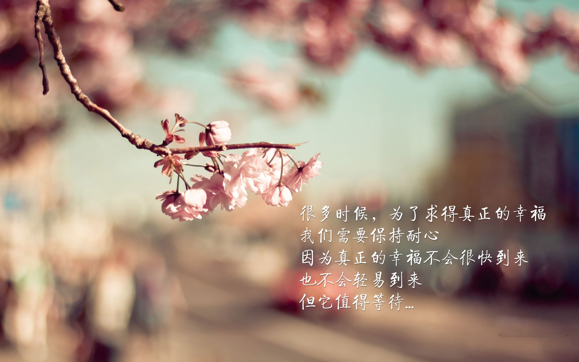 天网·边境,乔治在美加墨世界杯之夜铸就的钢铁防线