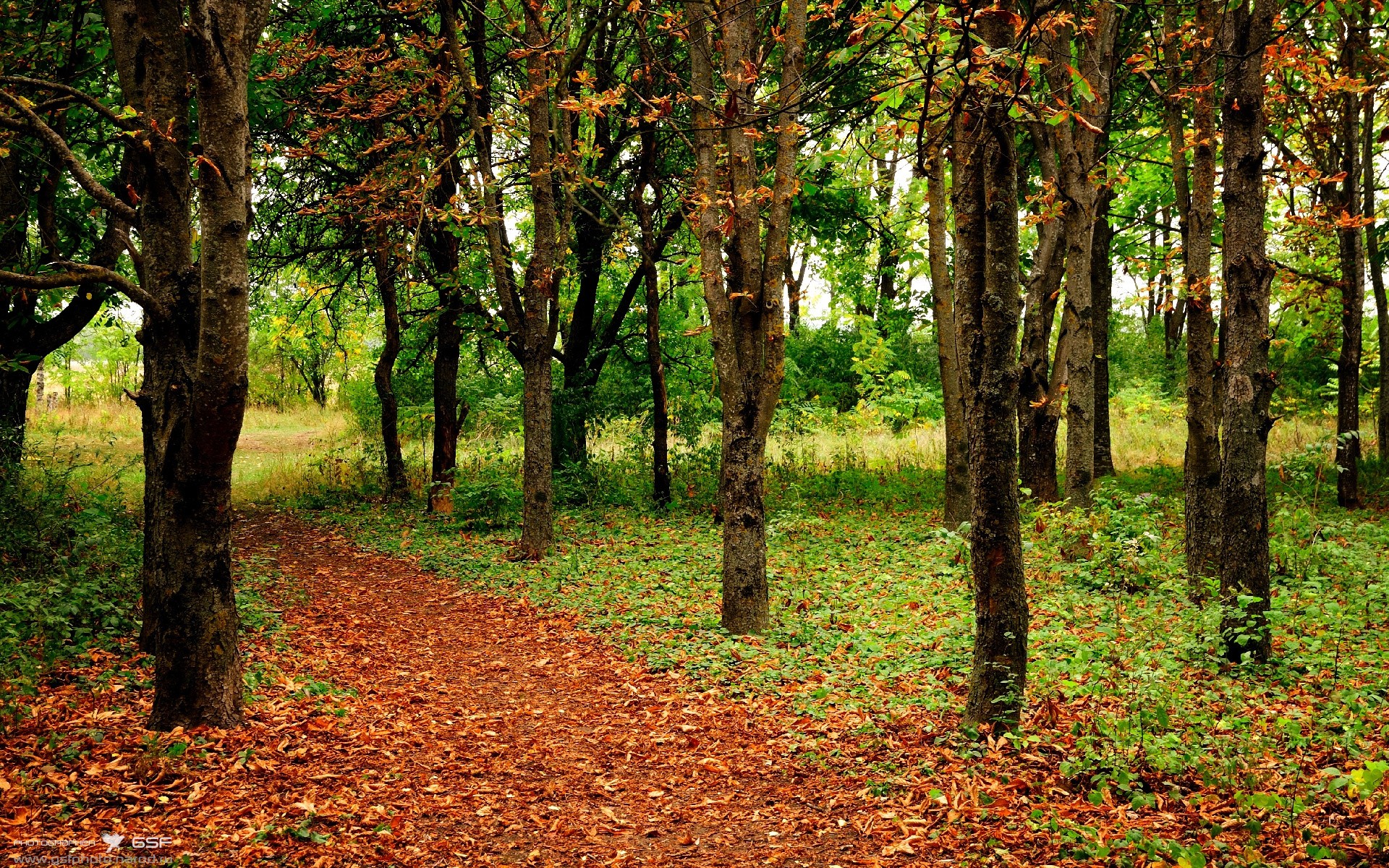 白衣军团的东征,穆勒双响炮击碎乌克兰铁壁