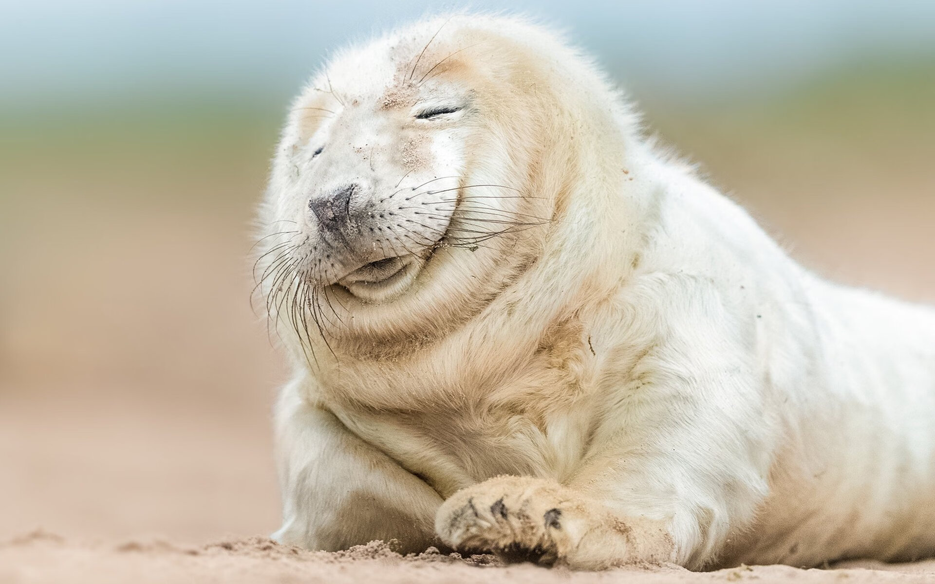 断剑达拉斯！布克致命一击封喉独行侠