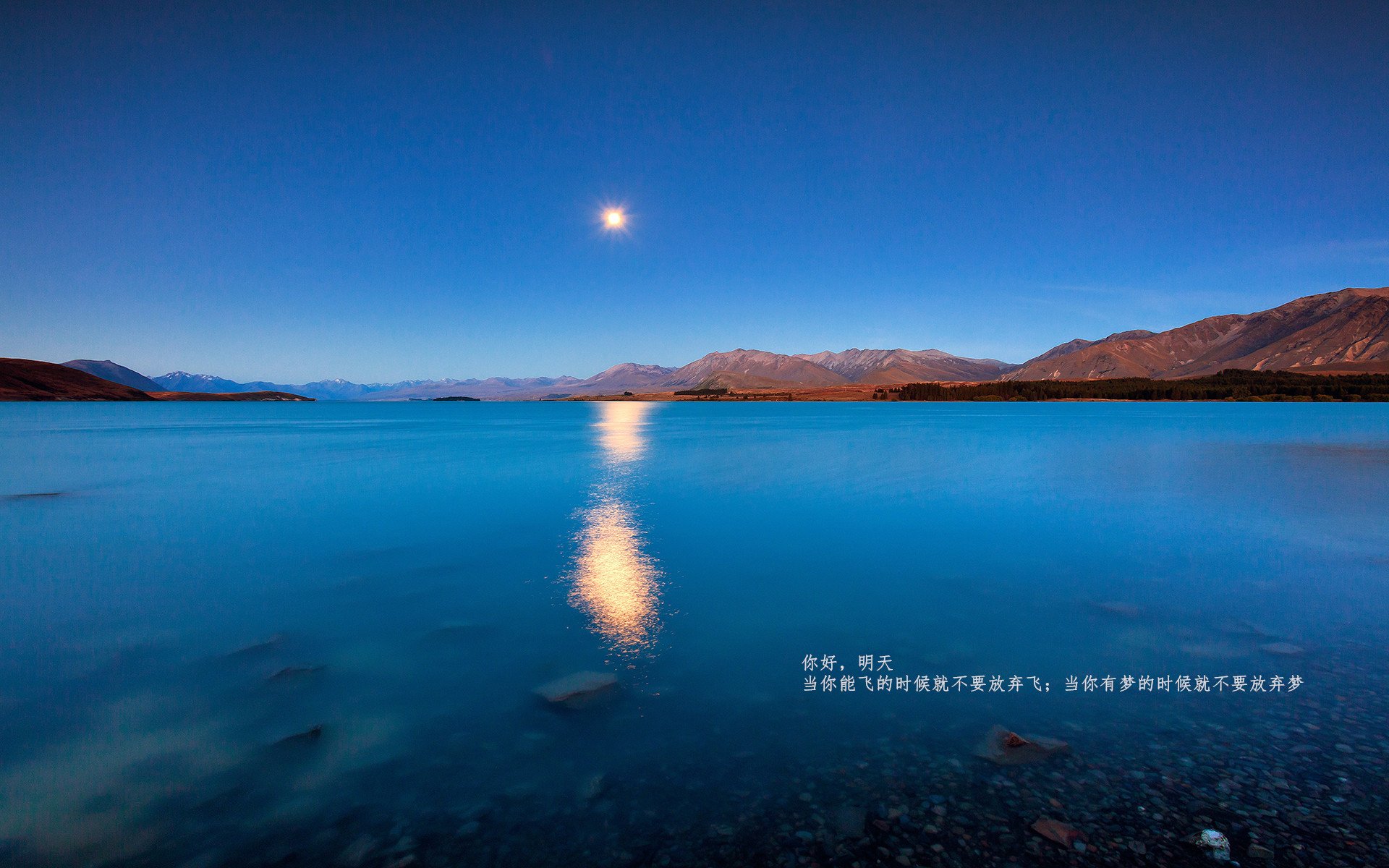 坎特主宰攻防，阿根廷连续得分制胜，坎特破局高光点燃全场