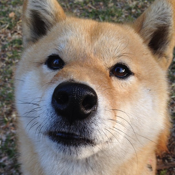 绿茵场与篮球馆的双重焦点，当国家德比遇见单节风暴—体育对决中瞬息万变的艺术