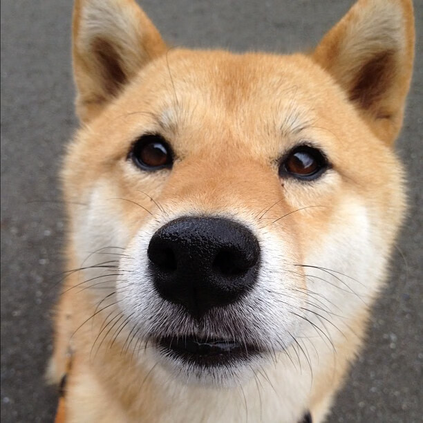 闪电战与独舞，迪亚斯导演黄色潜水艇速胜喀麦隆，全场最佳毫无悬念