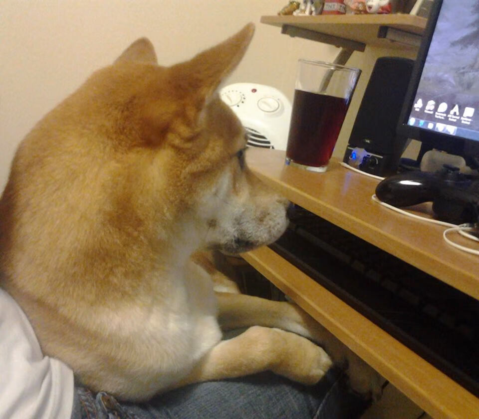 当马刺如潮水淹没魔术,字母哥正以神的名义接管世界