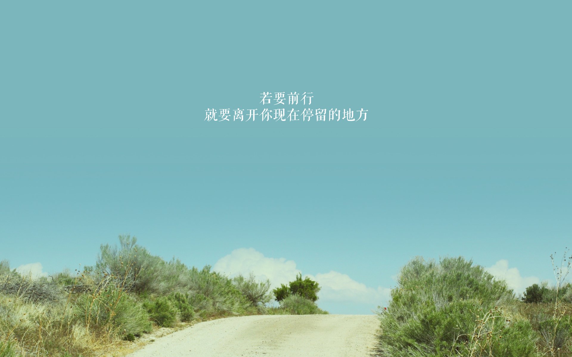 定盘星，塔图姆如何在对决公牛与国王的围猎中稳定输出，永不掉线