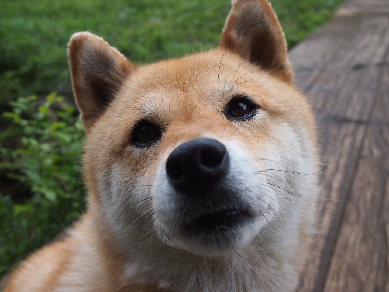 跨界英雄,当戈贝尔的手掌扼住足球的呼吸