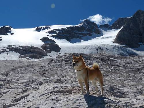 地球两端,同一种心跳,从利马到米兰,足球如何成为我们的共同语言