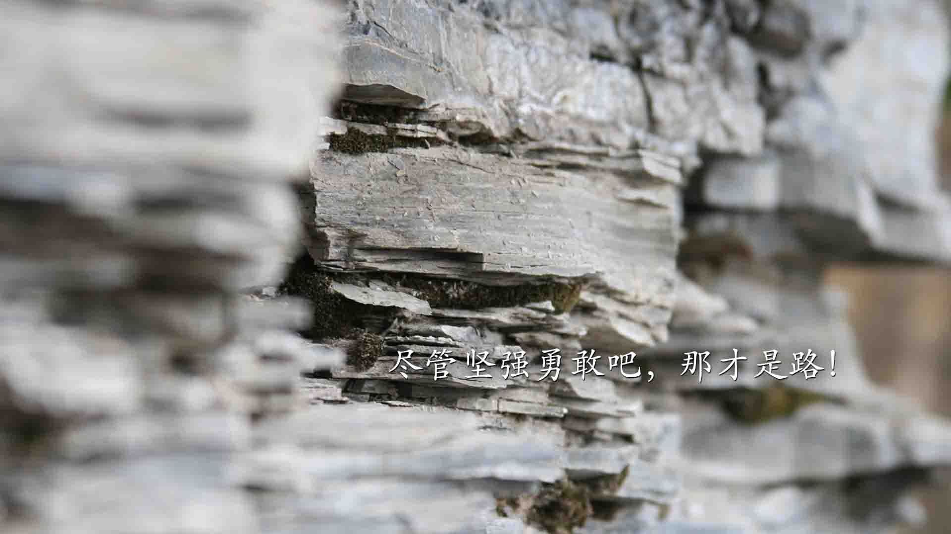 关键先生特奥闪耀,突尼斯争冠战击败南非