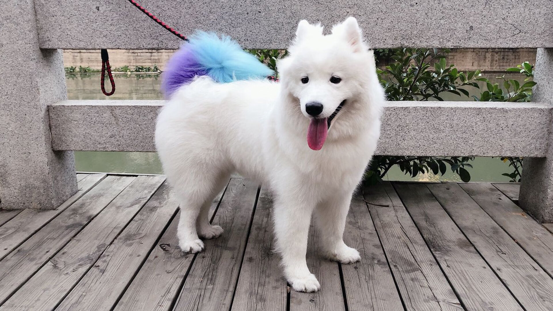 刀尖上的舞蹈,绝杀狂欢背后,是更残忍的持续伤害