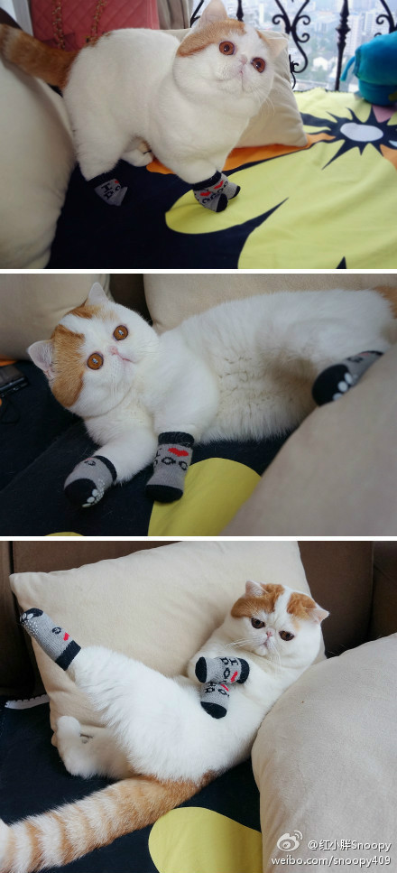(推荐)