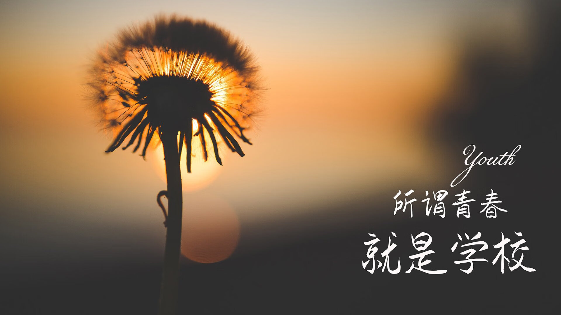 古国神迹与球王绝唱，2026世界杯A组双核共振，改写足球史册的唯一一夜