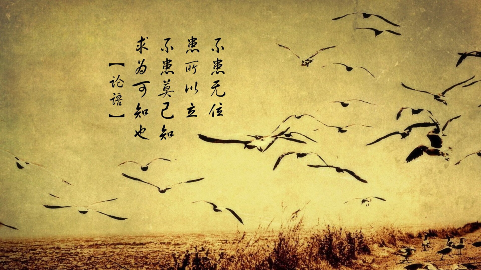 利马之夜,被B费抢戏的南美奇迹,以及2026世界杯D组那场唯一的绝杀